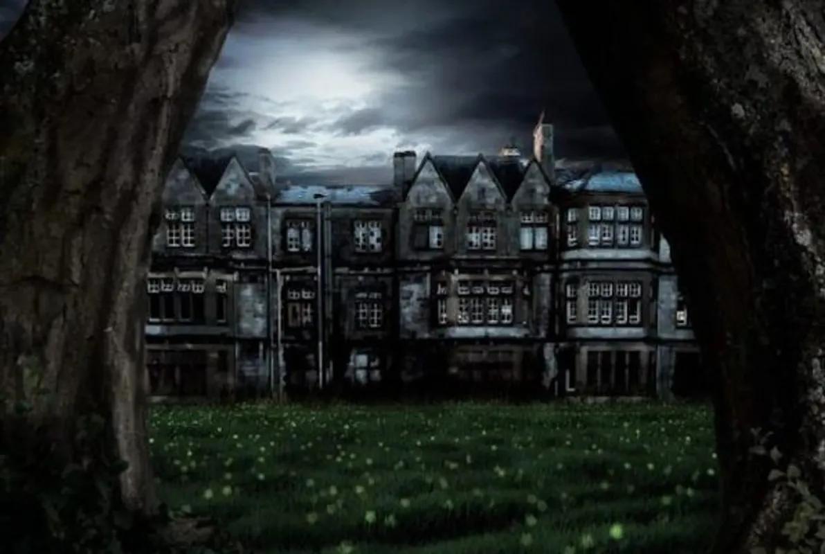 Asylum