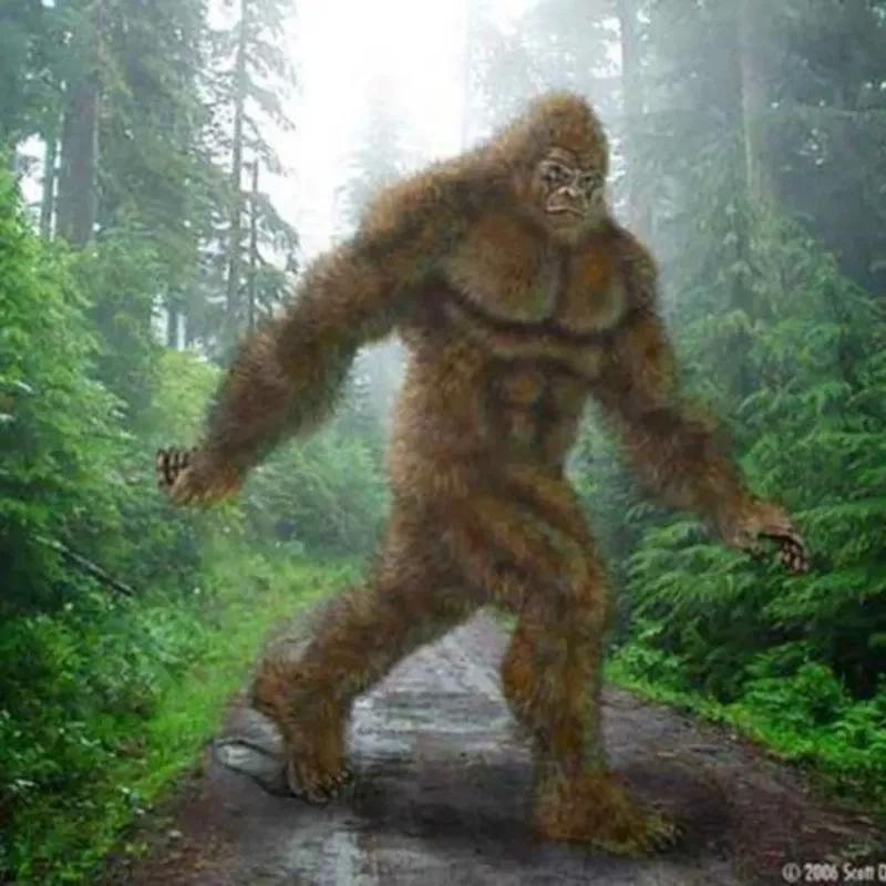 Tracker