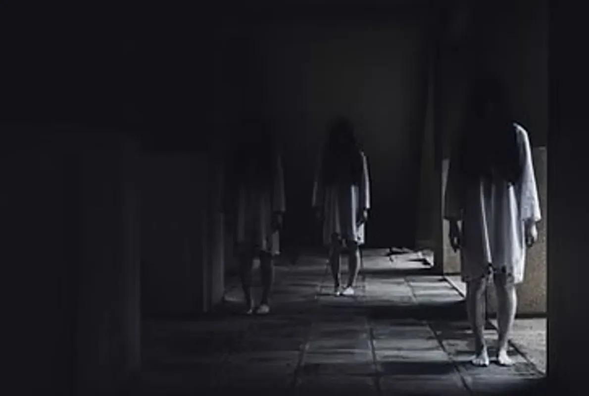 Asylum