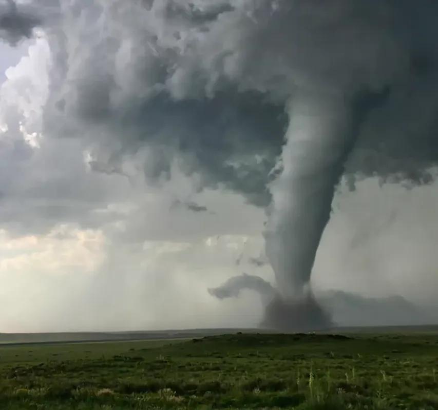 Twister!