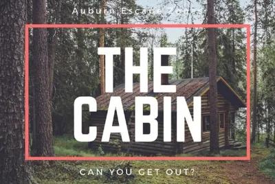 The Cabin poster1