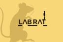 Review author's avatar