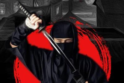 Ninja poster1