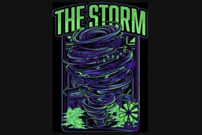 The Storm poster1