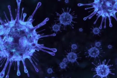 Pathogen poster1