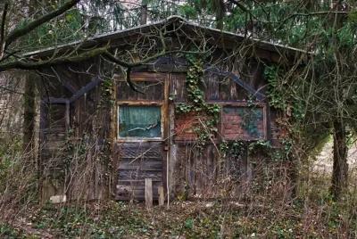 The Shed poster1