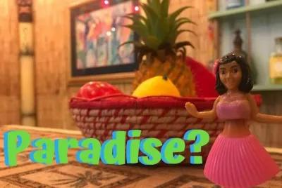 Paradise? poster1
