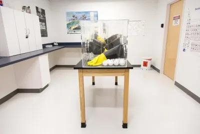 The Lab poster1