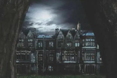 Asylum poster1
