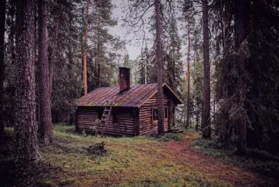 The Cabin poster1