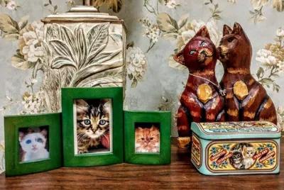 Cat Lady poster1