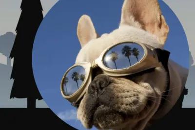 Dog Dayz poster1