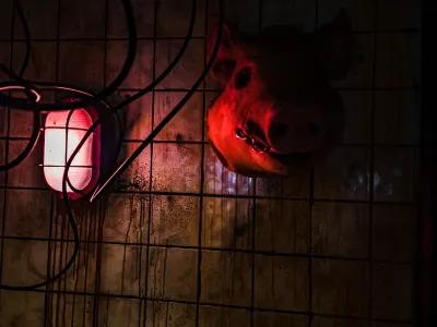 The Basement poster3