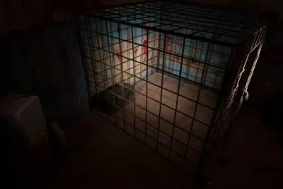 The Killer Basement poster1