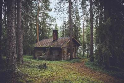 The Cabin poster2