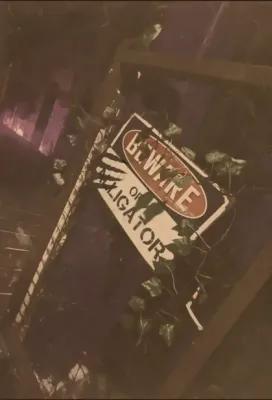 Bigfoot: Secrets of the Swamp poster1