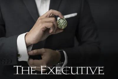 The Executive’s Folly poster1