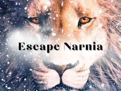 Escape Narnia poster1