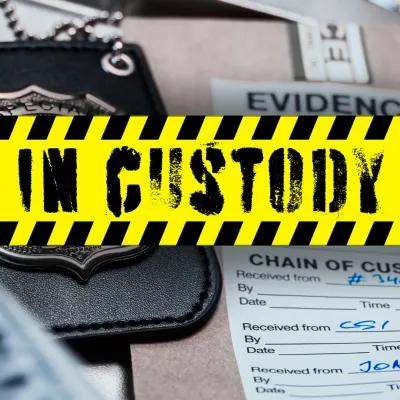 IN CUSTODY poster1