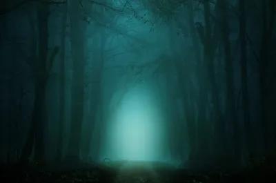 Hansel and Gretel poster1