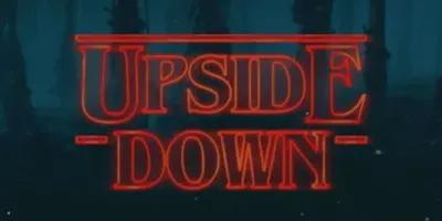 The Upside Down poster1