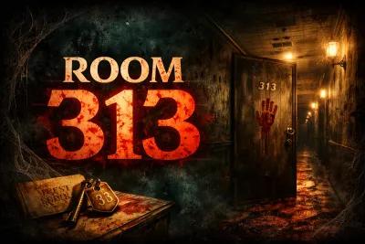 Room 313 poster1