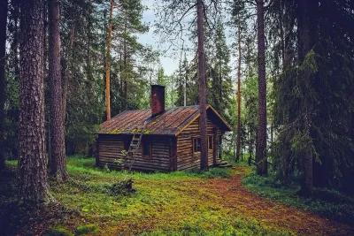 The Cabin poster2