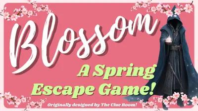 Blossom poster1