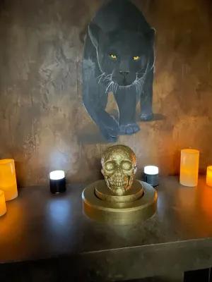 Temple of the Lost Jaguar poster2