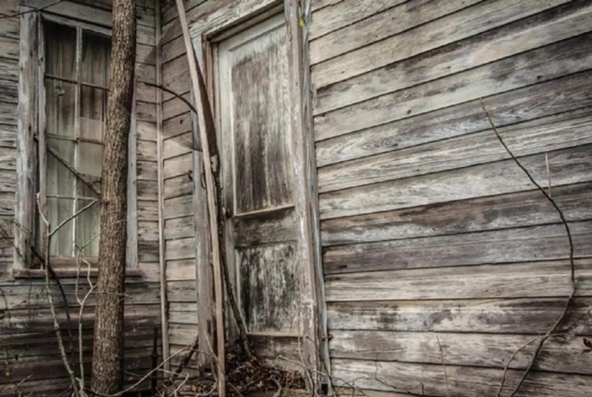 The Cabin