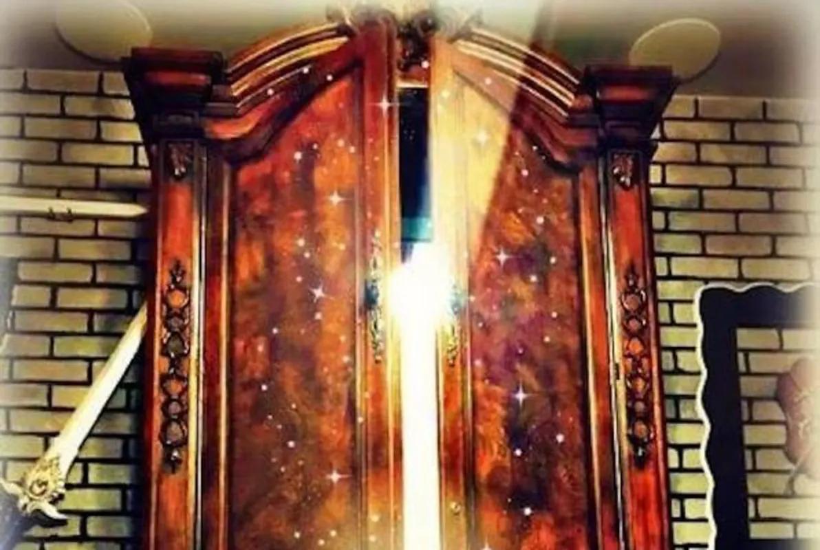 Beyond the Wardrobe