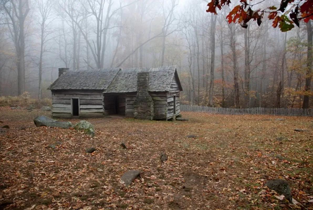 The Cabin