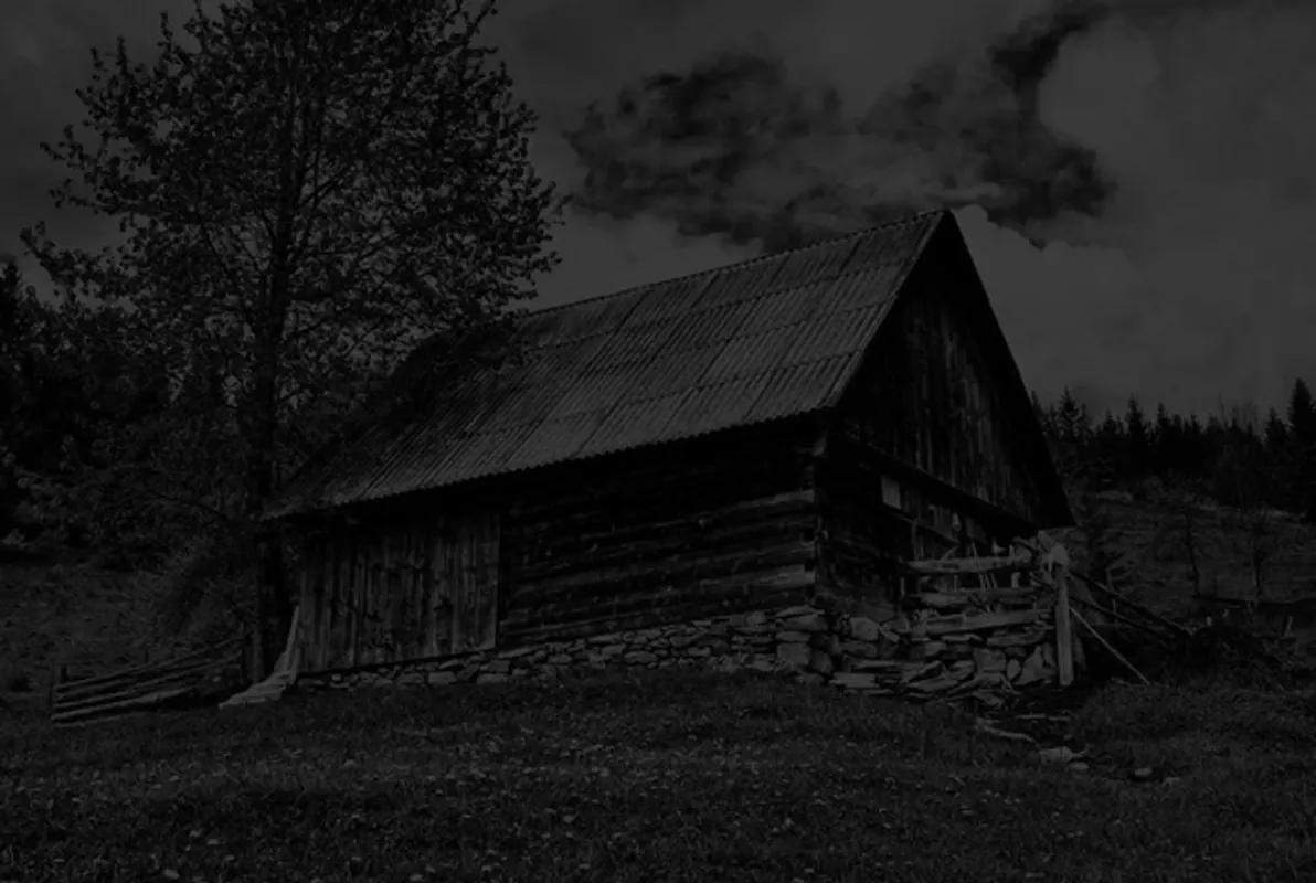 The Cabin