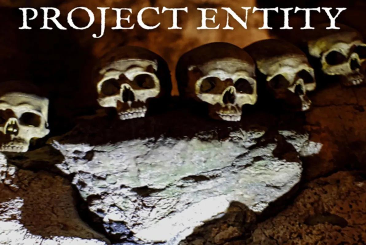 Project Entity