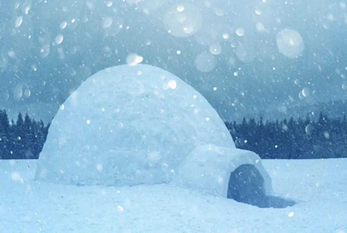 The Blizzard