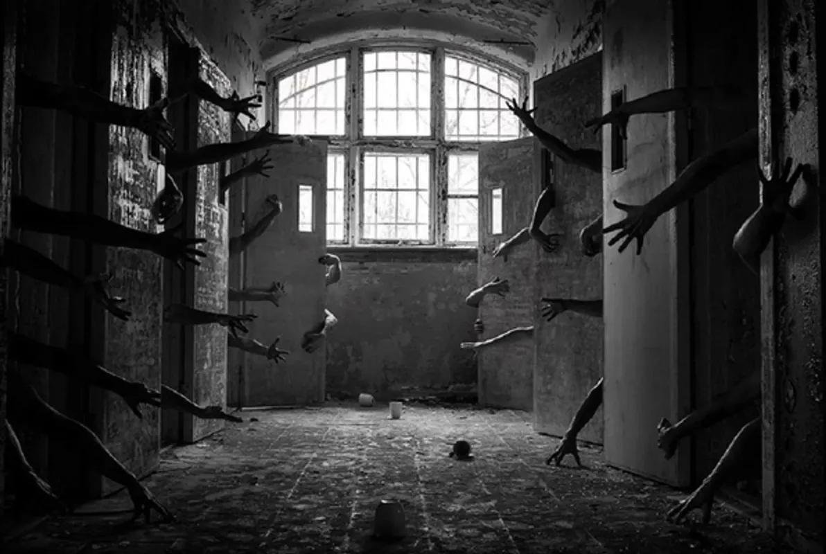 The Asylum