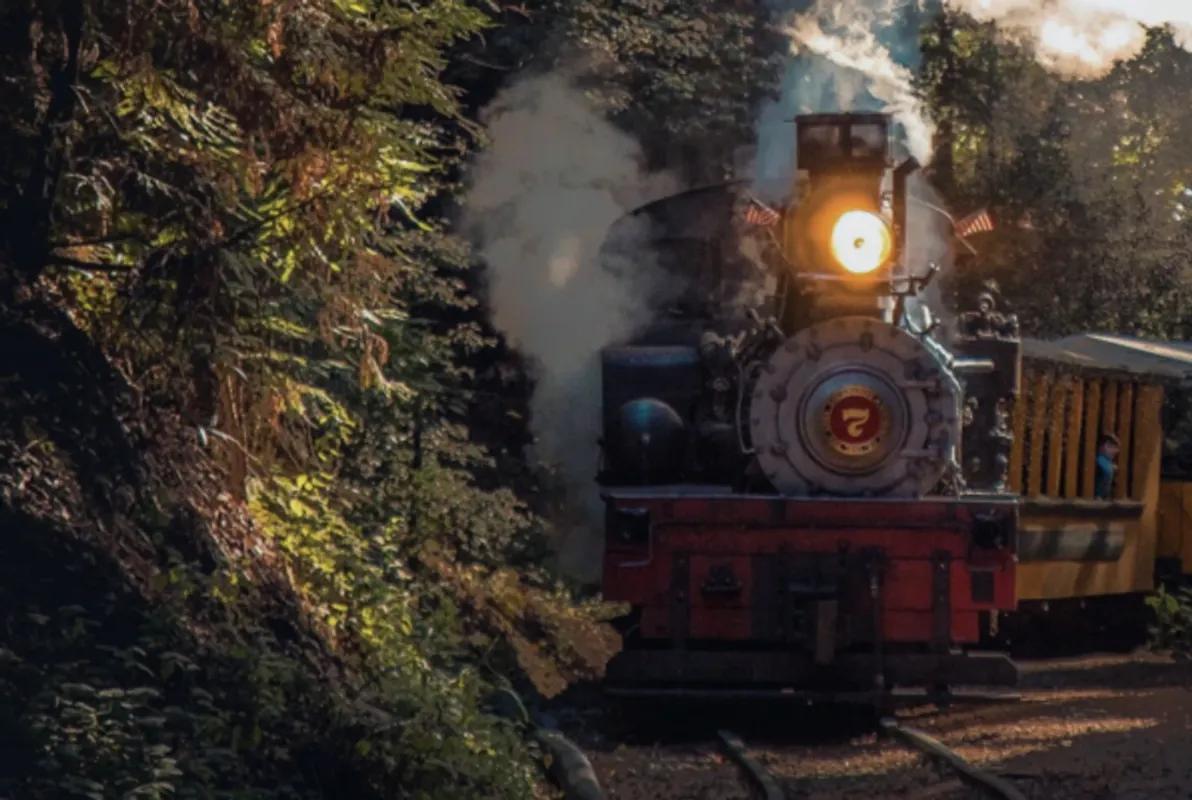 Train Wreck