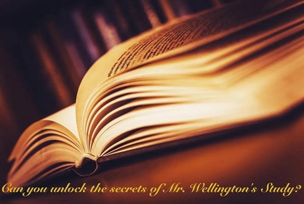 The Study