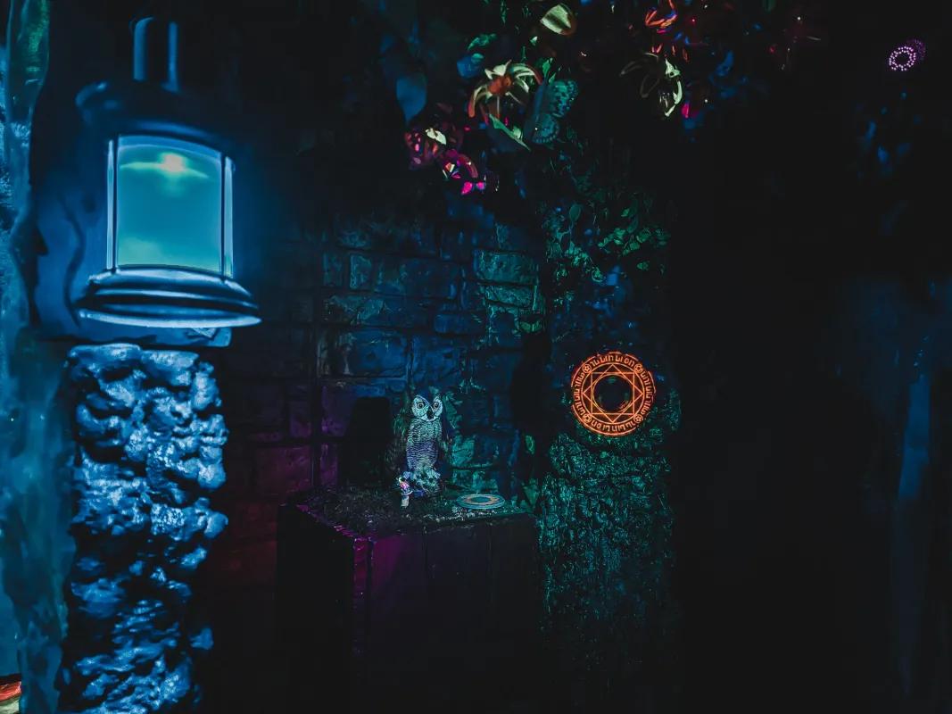 Mr. Elegoo's Enchanted Emporium