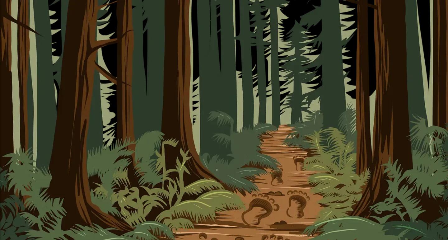 Search for Sasquatch