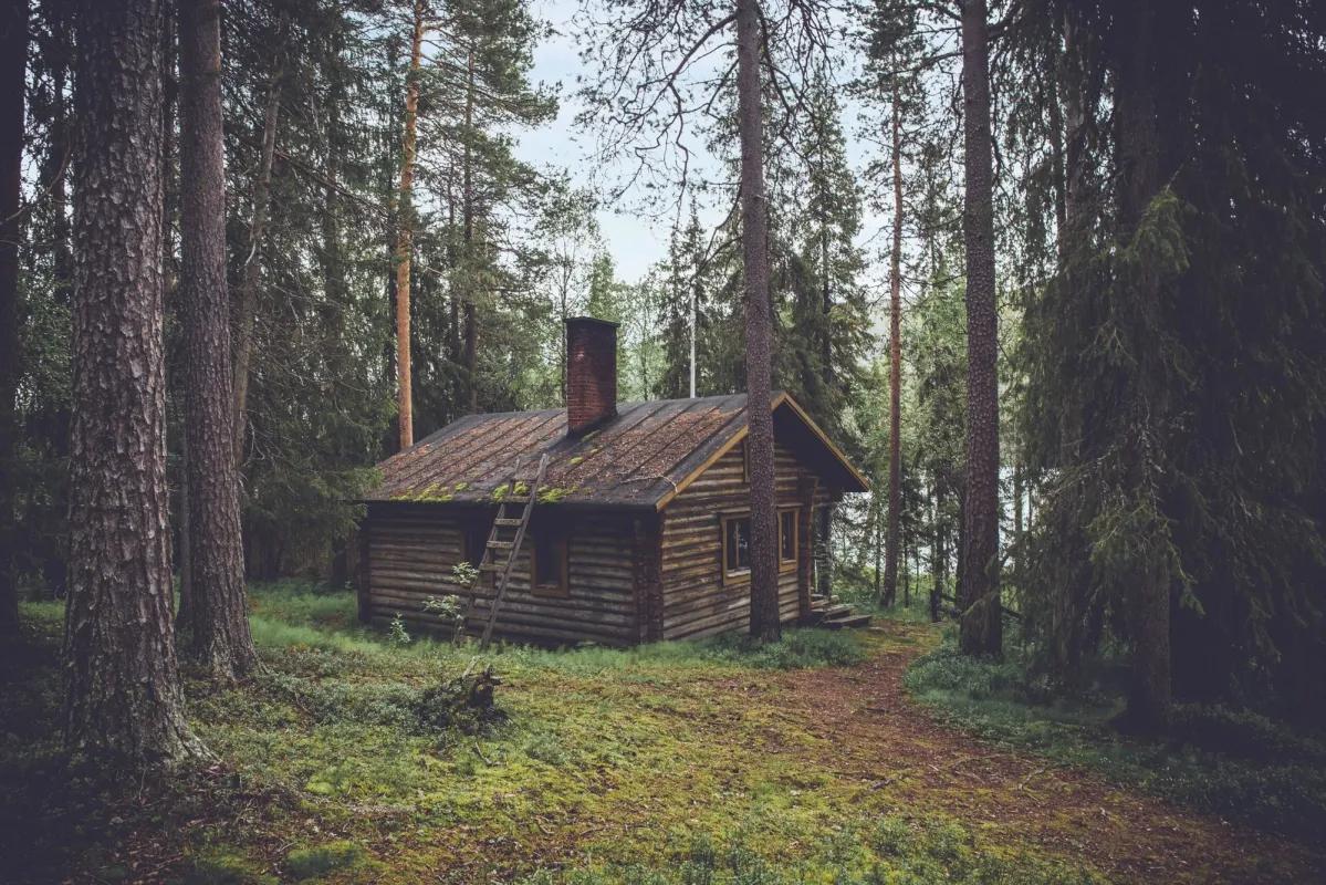 The Cabin