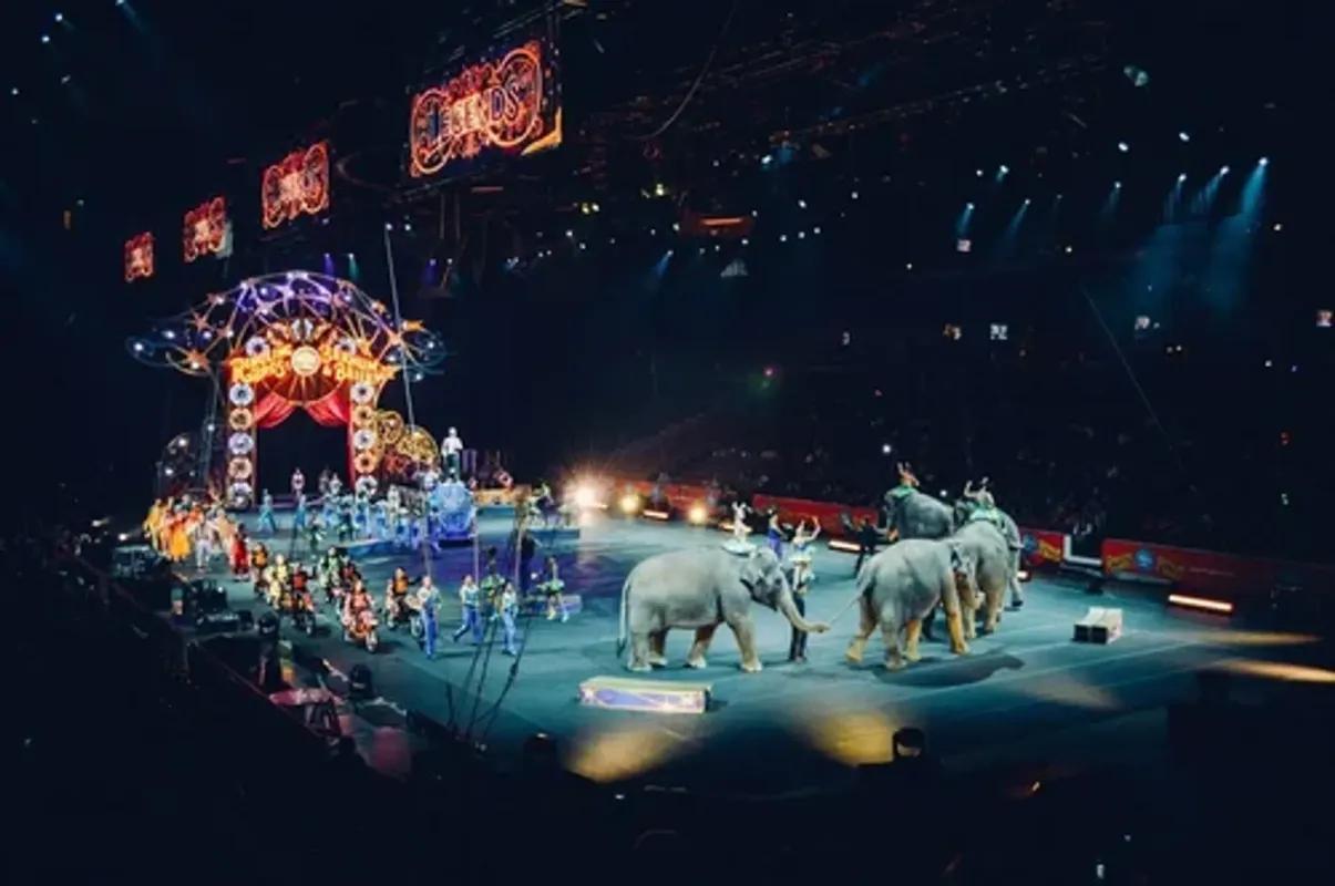 Betrayal Under The Big Top