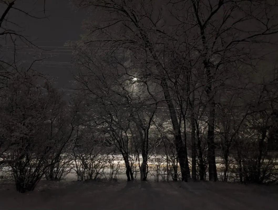 Kingdom of Night